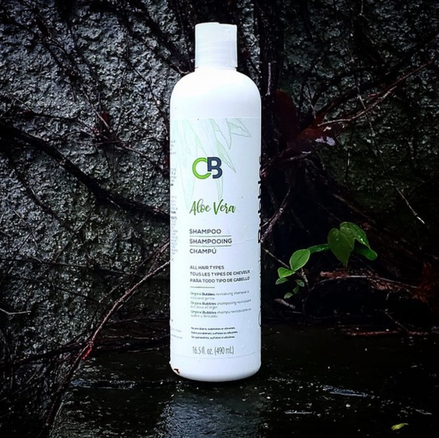 Organic Bubbles Aloe Vera Conditioner - Plant Based Formula - Paraben free